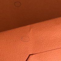 IMG_0998.jpg