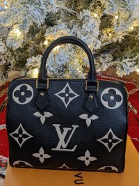 LV Giant Speedy.jpg