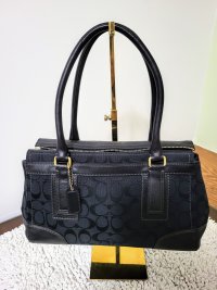 Coach 11062 Back.jpg