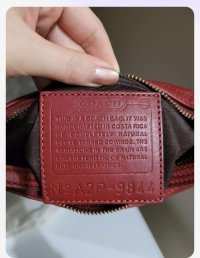 BC9C0D60-EF28-46FD-A004-1E8FB59320E1.jpeg