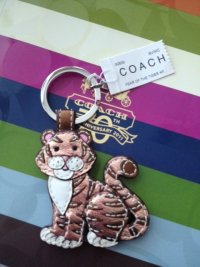 92608 year of the tiger.JPG