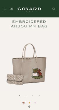 NEW! GOYARD Embroidered Anjou PM Limited EDITION Bags