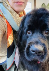 MonPremierGalop-Maggie1.jpg