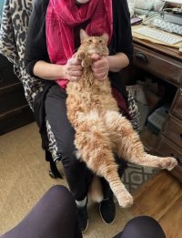 Pickbelly.jpg