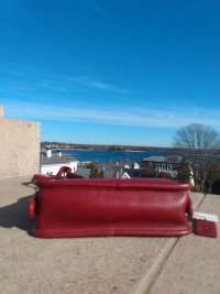 IMG_20230117_120116832.jpg