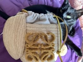 IMG_1229 Small.jpeg