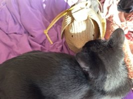IMG_1230 Small.jpeg