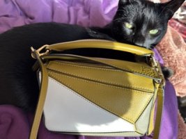 IMG_1227 Small.jpeg