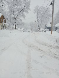IMG_20230123_120939871.jpg
