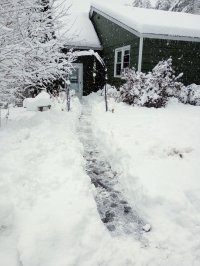 IMG_20230123_120924575.jpg