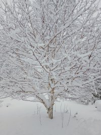 IMG_20230123_120853361.jpg