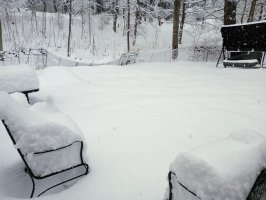 IMG_20230123_121042986.jpg