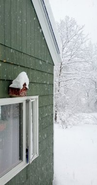 IMG_20230123_124552755.jpg