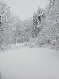 IMG_20230123_124610047.jpg