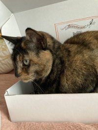 C2AE6715-8E6A-41D7-94FE-349E057B9254.jpeg