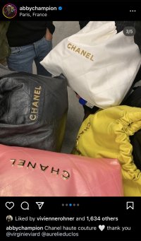 22 bag for purseforum.jpg