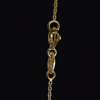 safetyclasp.gif
