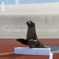 6DF0436D-C52C-4B61-99C1-AEFF878A3E5B.gif