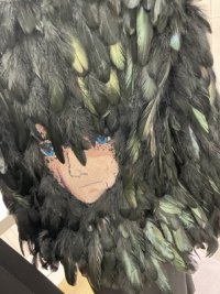 IMG_1446 Medium.jpeg