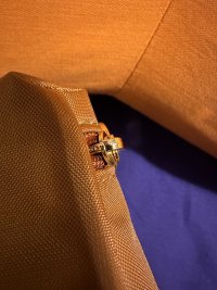 IMG_5961.jpeg