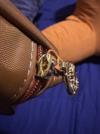 IMG_5960.jpeg