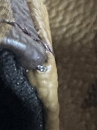03449F23-3659-4508-BD20-3313ED860C66.jpeg