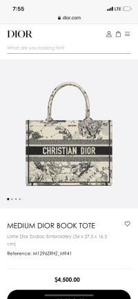Dior book tote purseforum 2025