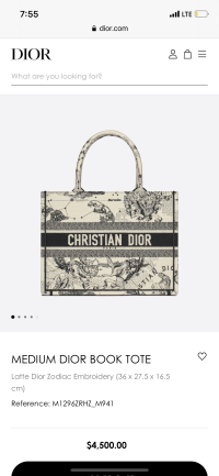 The Dior Book Tote Is Here to Stay - PurseBlog