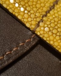 20220731_221956.jpg
