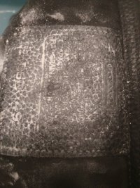20230212_150951.jpg