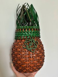 5CF866EC-B266-4AC8-BE52-16D636DF875C.jpeg