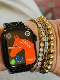 Hermes Michele watchband.jpg
