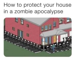 zombie ap.jpg