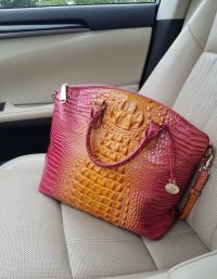 brahmin_passion_fruit_passenger.jpg