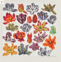 Tulipomanie H003964S (01).jpeg