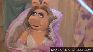 giphy piggy.gif