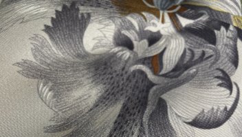 6D77C7E0-1122-44A3-9D17-0E49DB809624.jpeg