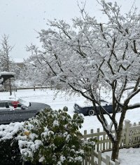 IMG_9861.jpeg