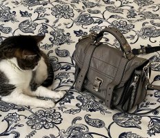 PS1 and kitty (2).jpg
