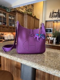 hermes evie purple.jpg