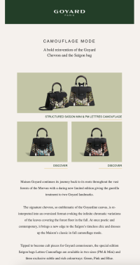 Goyard Poitiers handbag Review  wear and tear after 4 months? 