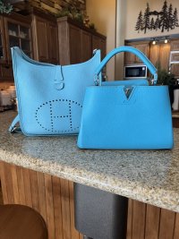 purse forum blue bags.jpg