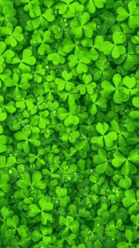 1679068930600.gif