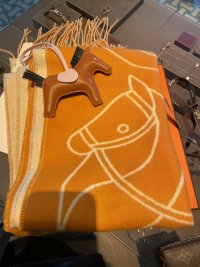 IMG_0581.jpeg
