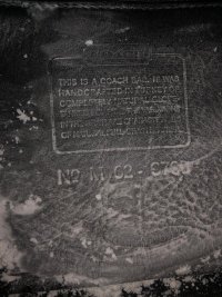 c5.jpg