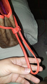 20230330_040705.jpg