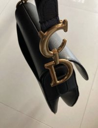 DiorSaddle11.jpg