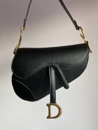 DiorSaddle12.jpg