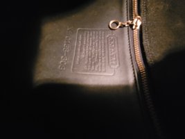 20230401_065505.jpg