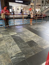 IMG_1863.jpeg